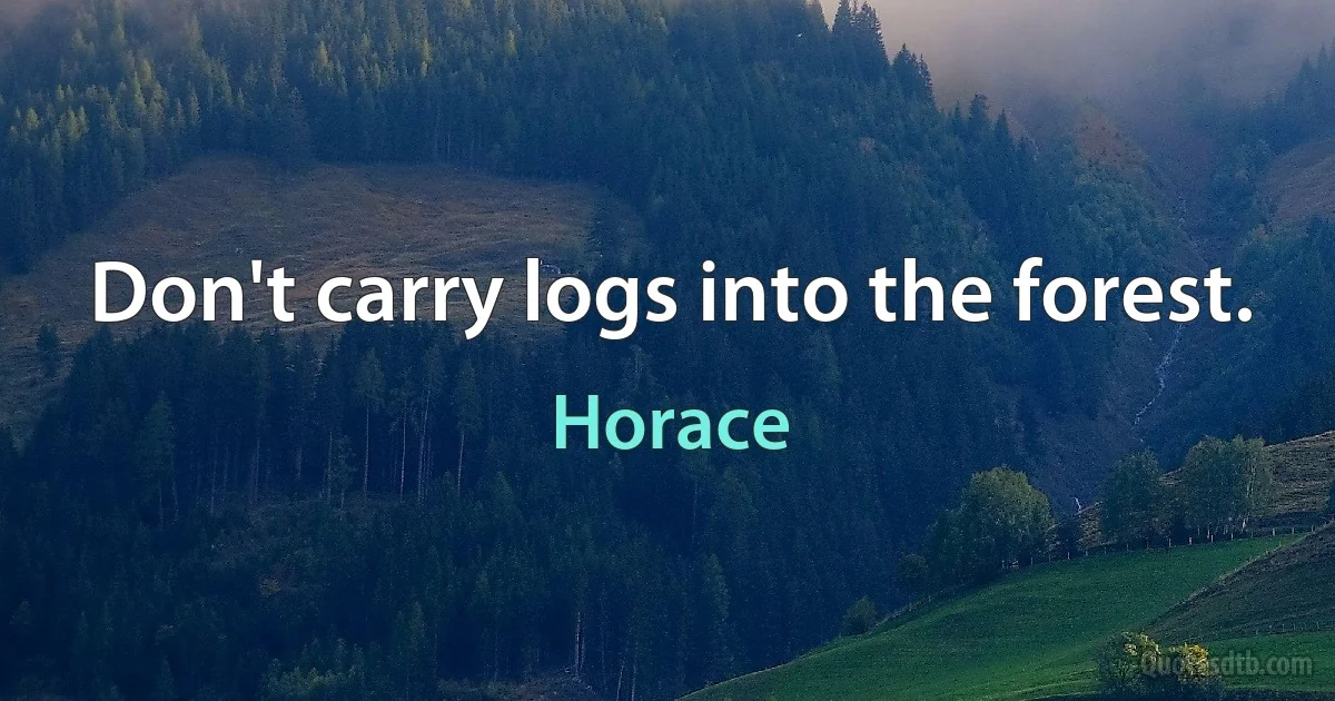 Don't carry logs into the forest. (Horace)