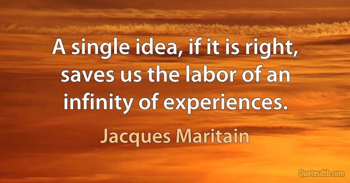 A single idea, if it is right, saves us the labor of an infinity of experiences. (Jacques Maritain)