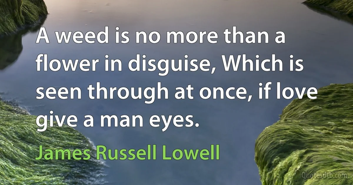 A weed is no more than a flower in disguise, Which is seen through at once, if love give a man eyes. (James Russell Lowell)