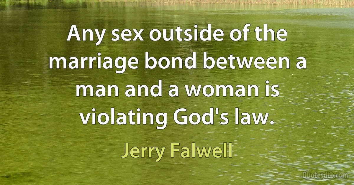 Any sex outside of the marriage bond between a man and a woman is violating God's law. (Jerry Falwell)