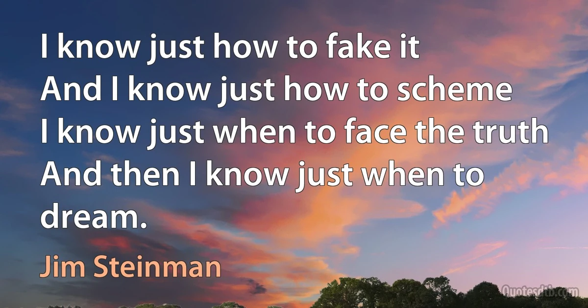 I know just how to fake it
And I know just how to scheme
I know just when to face the truth
And then I know just when to dream. (Jim Steinman)