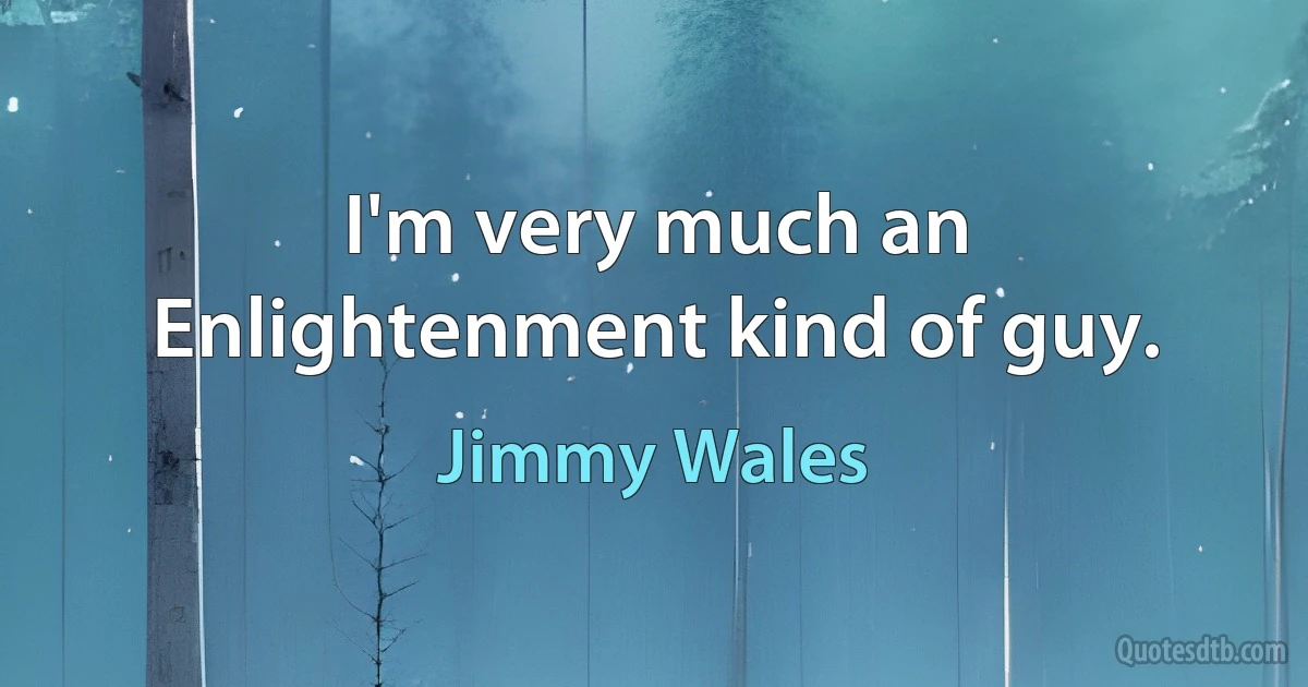 I'm very much an Enlightenment kind of guy. (Jimmy Wales)