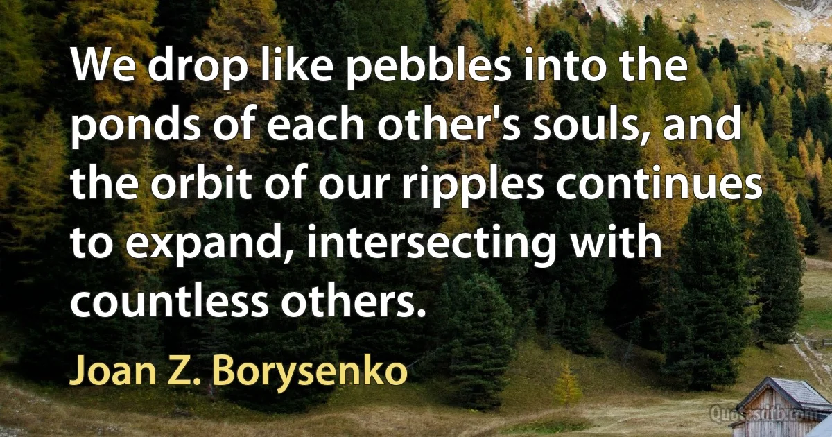 We drop like pebbles into the ponds of each other's souls, and the orbit of our ripples continues to expand, intersecting with countless others. (Joan Z. Borysenko)