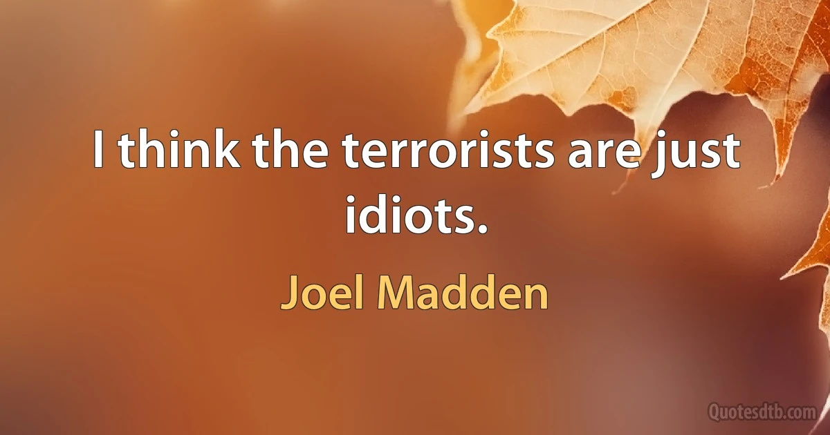 I think the terrorists are just idiots. (Joel Madden)