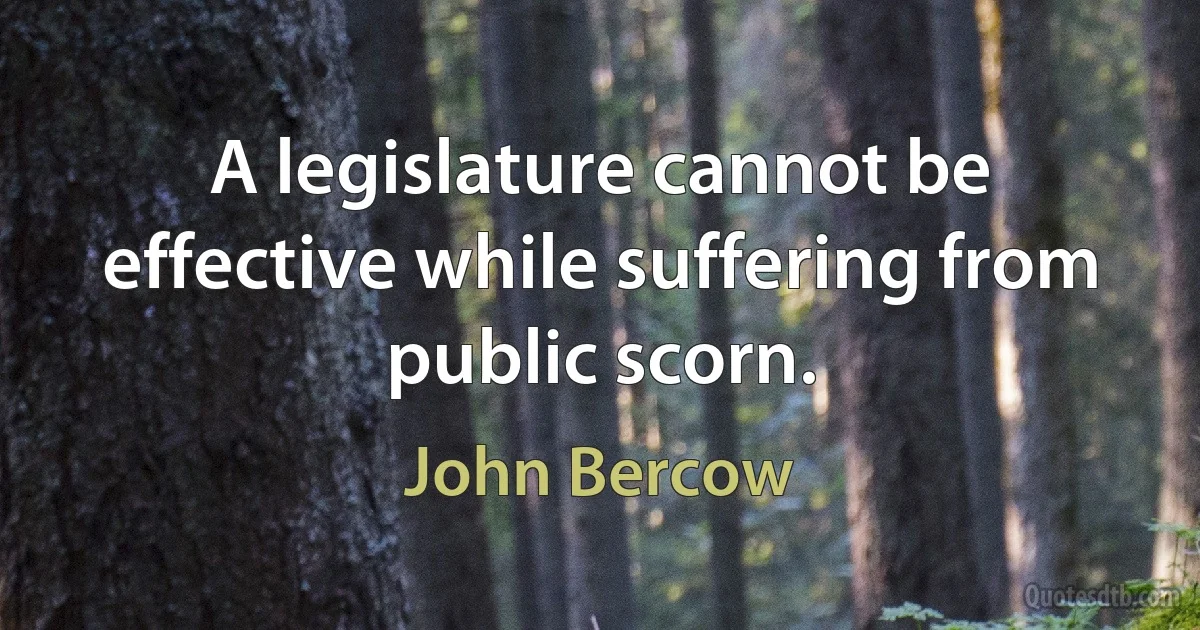 A legislature cannot be effective while suffering from public scorn. (John Bercow)