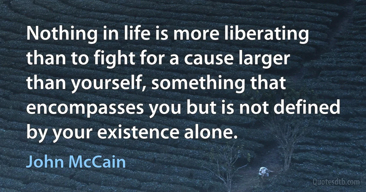 Nothing in life is more liberating than to fight for a cause larger than yourself, something that encompasses you but is not defined by your existence alone. (John McCain)