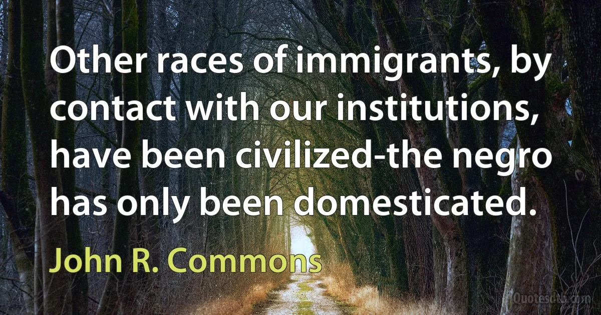 Other races of immigrants, by contact with our institutions, have been civilized-the negro has only been domesticated. (John R. Commons)