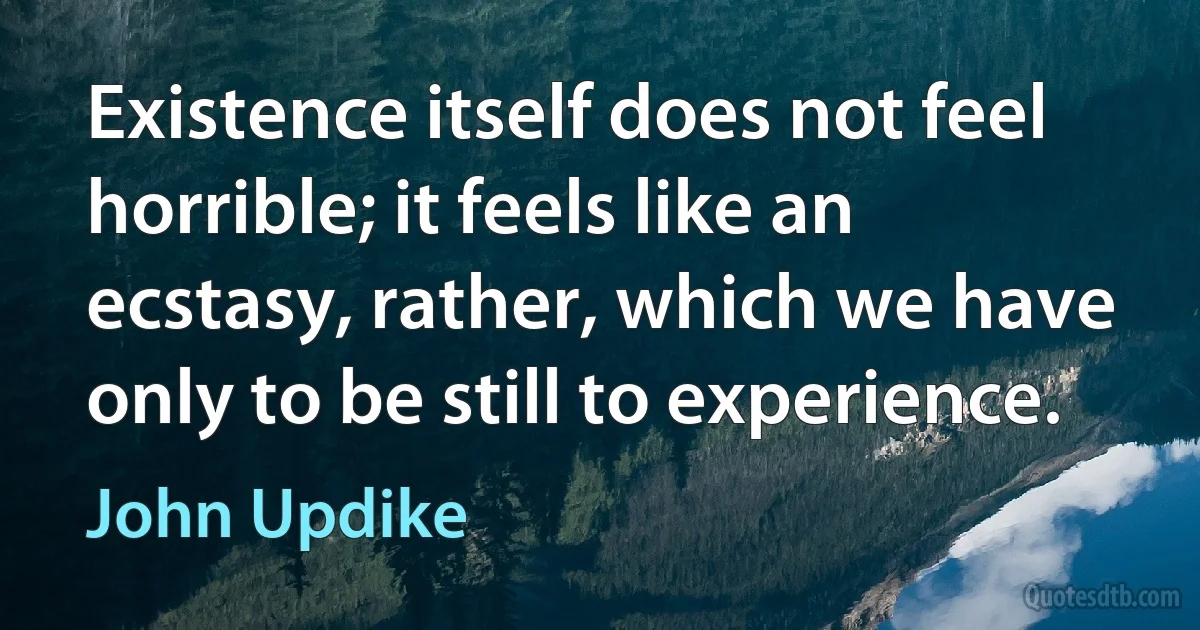 Existence itself does not feel horrible; it feels like an ecstasy, rather, which we have only to be still to experience. (John Updike)