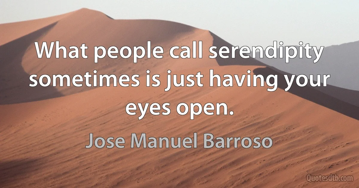 What people call serendipity sometimes is just having your eyes open. (Jose Manuel Barroso)