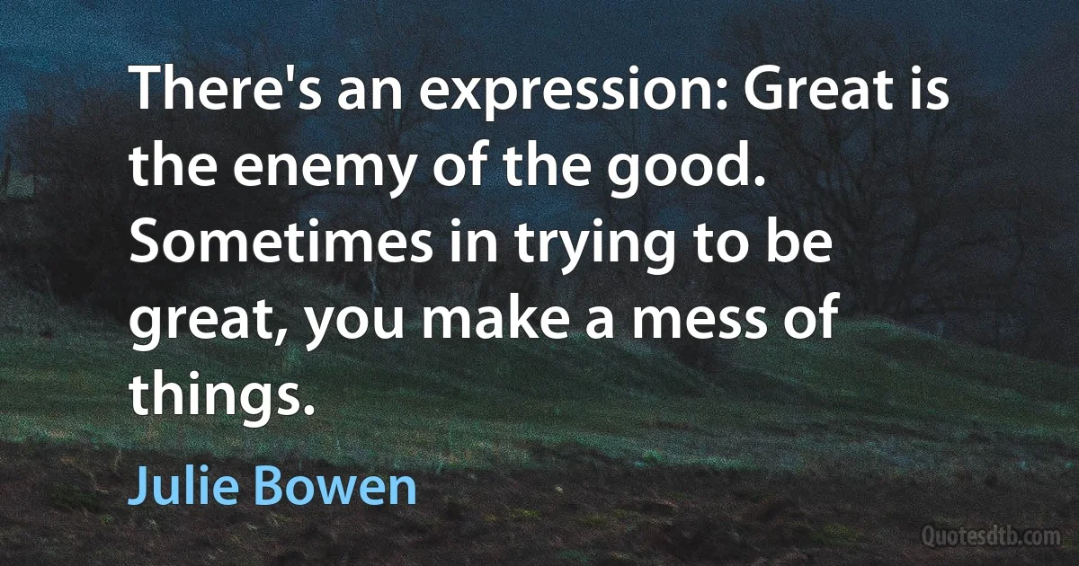 There's an expression: Great is the enemy of the good. Sometimes in trying to be great, you make a mess of things. (Julie Bowen)