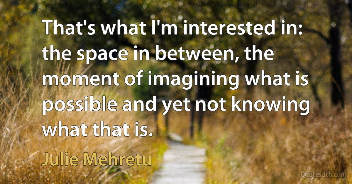 That's what I'm interested in: the space in between, the moment of imagining what is possible and yet not knowing what that is. (Julie Mehretu)