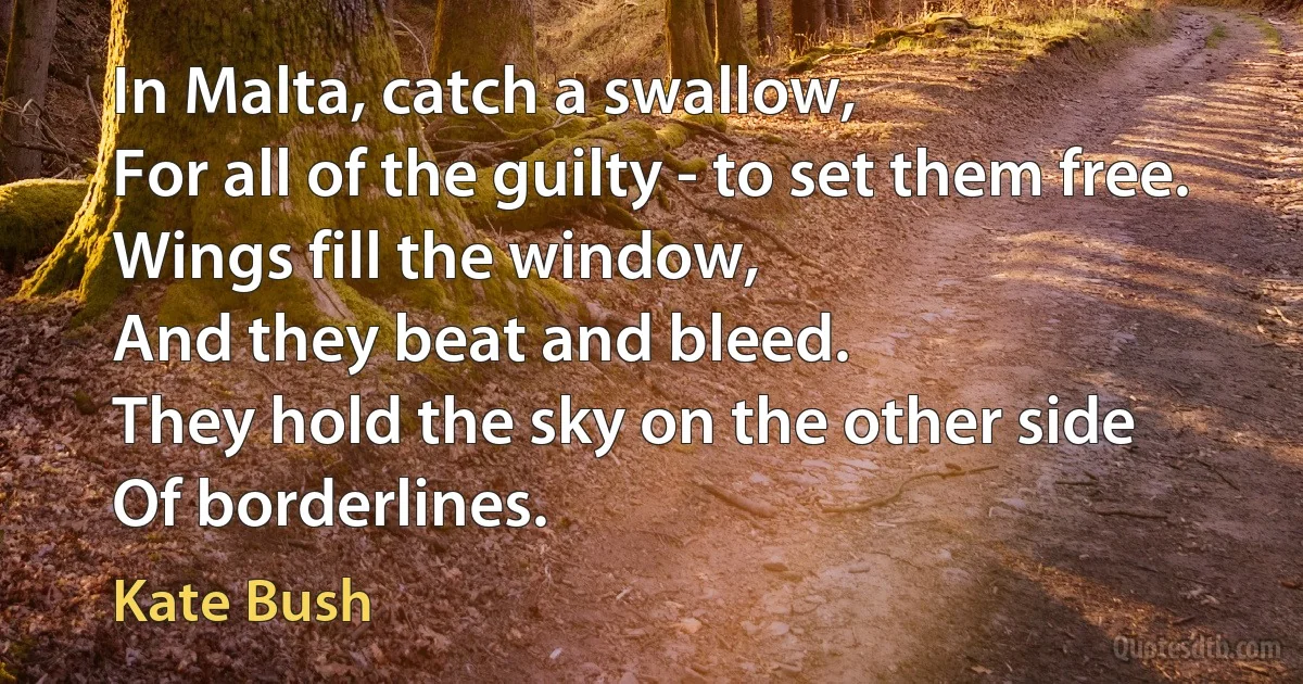 In Malta, catch a swallow,
For all of the guilty - to set them free.
Wings fill the window,
And they beat and bleed.
They hold the sky on the other side
Of borderlines. (Kate Bush)