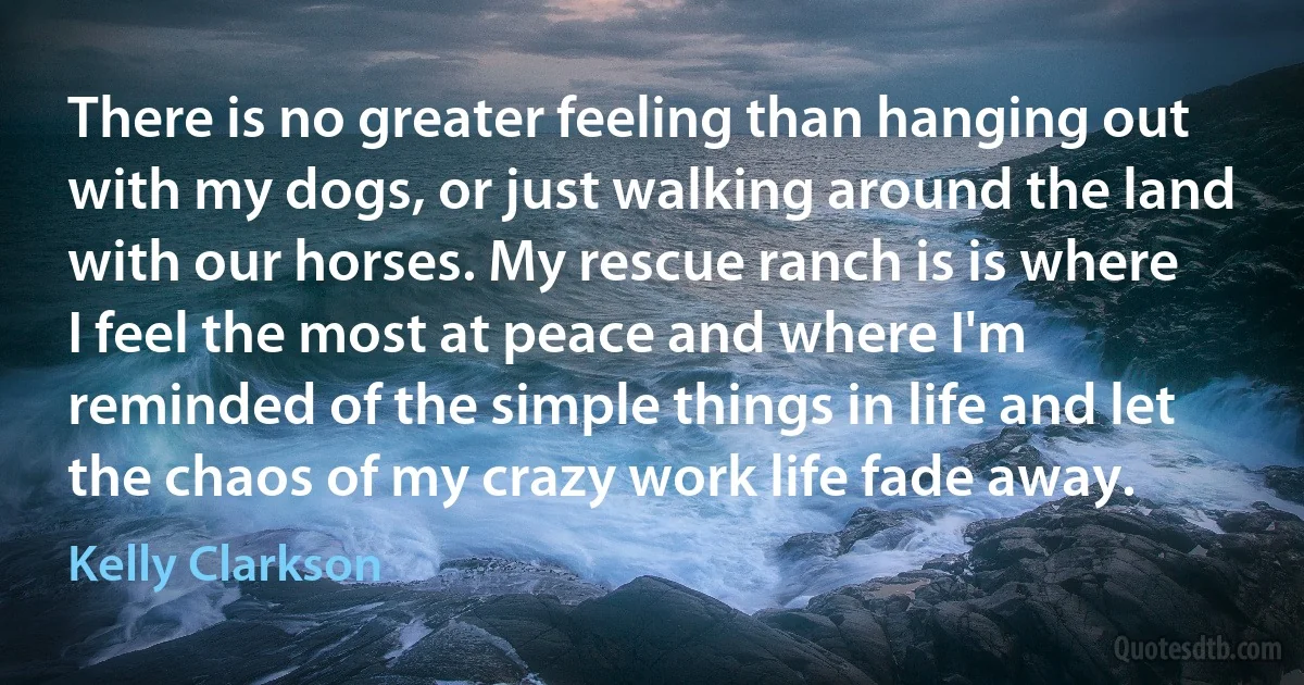 There is no greater feeling than hanging out with my dogs, or just walking around the land with our horses. My rescue ranch is is where I feel the most at peace and where I'm reminded of the simple things in life and let the chaos of my crazy work life fade away. (Kelly Clarkson)