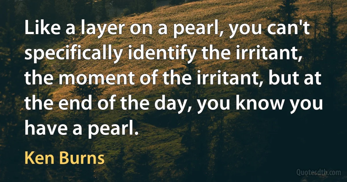 Like a layer on a pearl, you can't specifically identify the irritant, the moment of the irritant, but at the end of the day, you know you have a pearl. (Ken Burns)