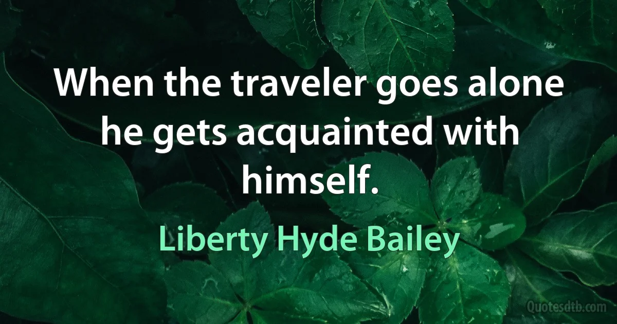 When the traveler goes alone he gets acquainted with himself. (Liberty Hyde Bailey)