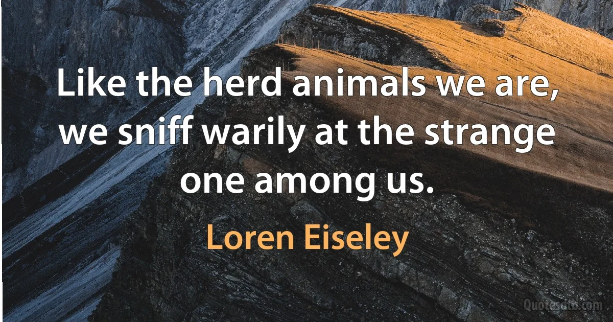 Like the herd animals we are, we sniff warily at the strange one among us. (Loren Eiseley)