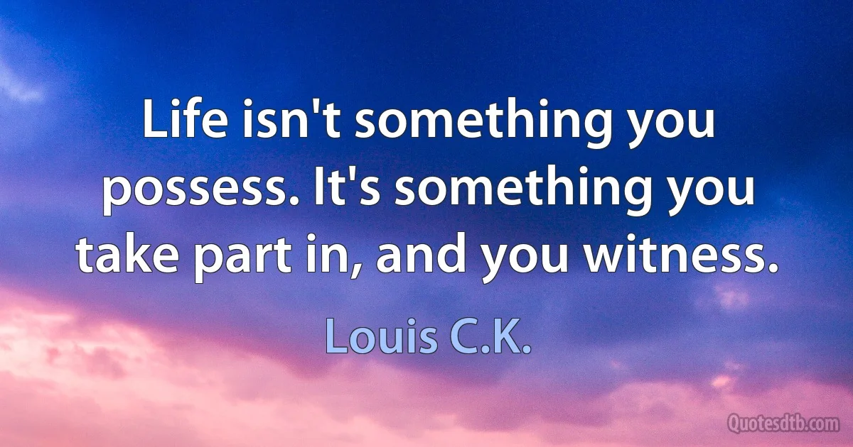 Life isn't something you possess. It's something you take part in, and you witness. (Louis C.K.)