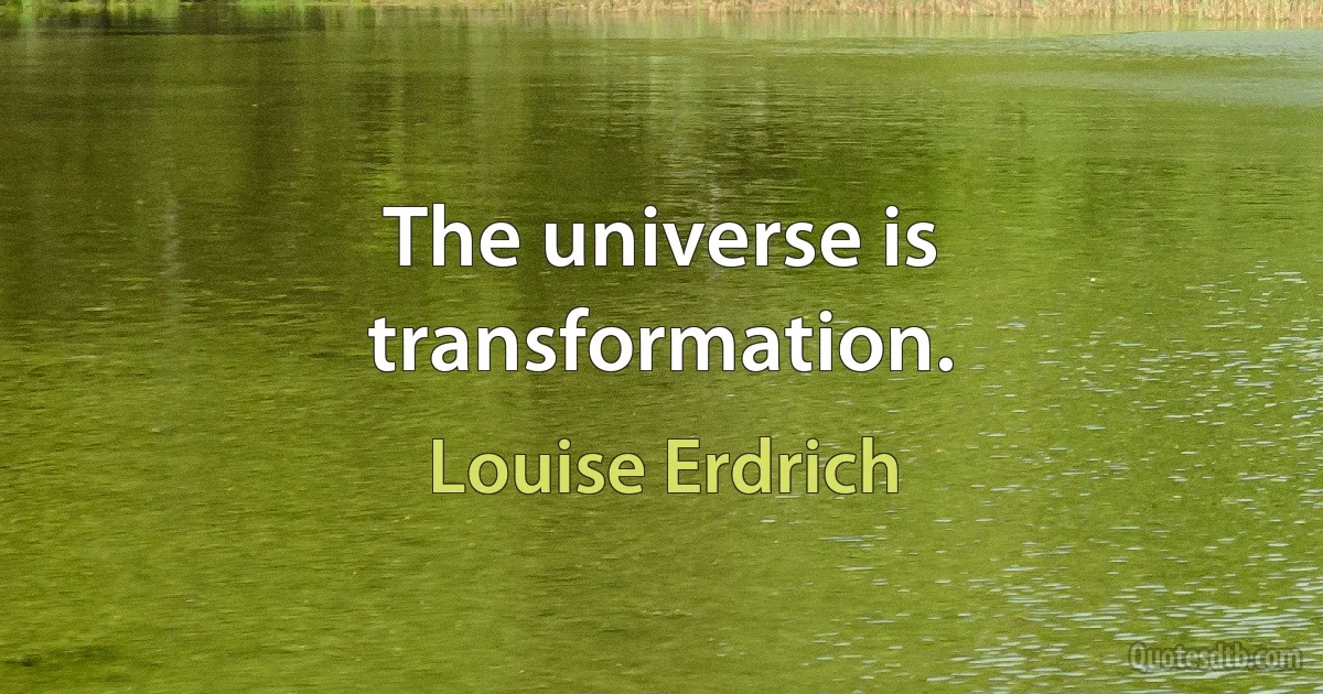 The universe is transformation. (Louise Erdrich)