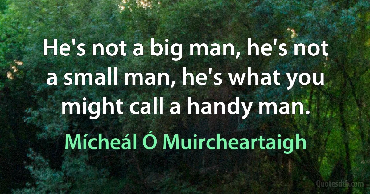 He's not a big man, he's not a small man, he's what you might call a handy man. (Mícheál Ó Muircheartaigh)