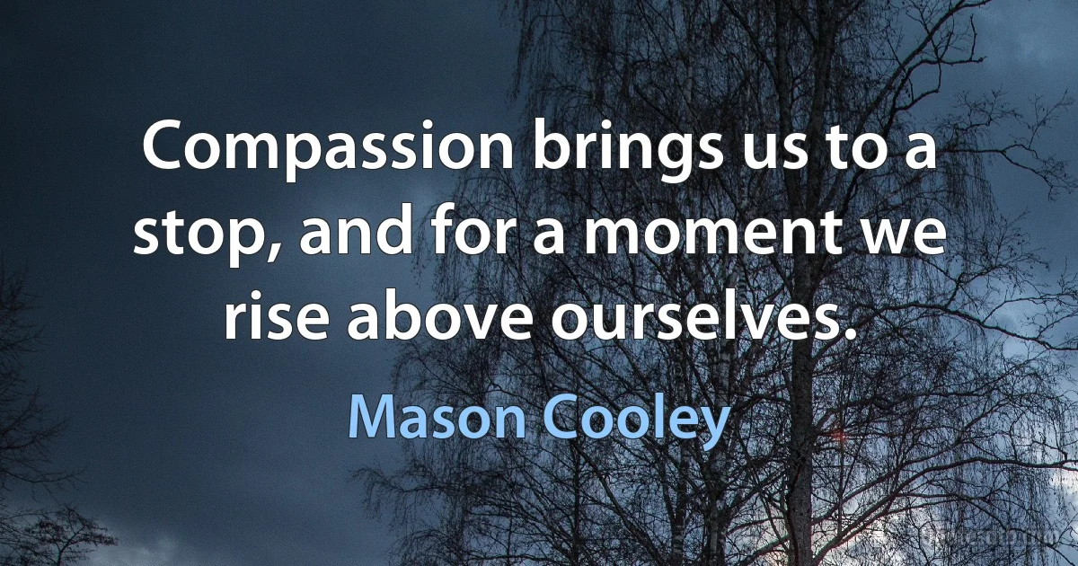 Compassion brings us to a stop, and for a moment we rise above ourselves. (Mason Cooley)