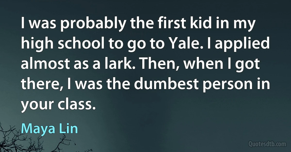 I was probably the first kid in my high school to go to Yale. I applied almost as a lark. Then, when I got there, I was the dumbest person in your class. (Maya Lin)