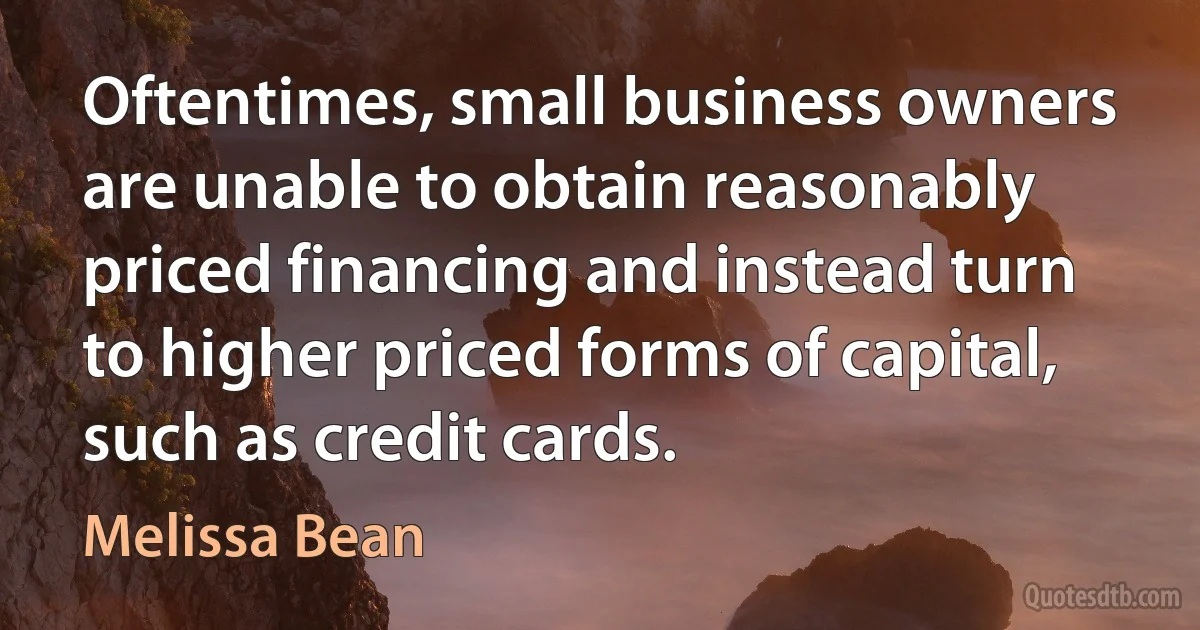 Oftentimes, small business owners are unable to obtain reasonably priced financing and instead turn to higher priced forms of capital, such as credit cards. (Melissa Bean)