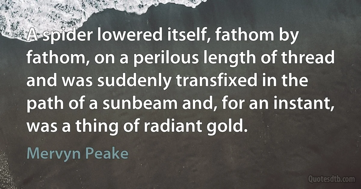 A spider lowered itself, fathom by fathom, on a perilous length of thread and was suddenly transfixed in the path of a sunbeam and, for an instant, was a thing of radiant gold. (Mervyn Peake)