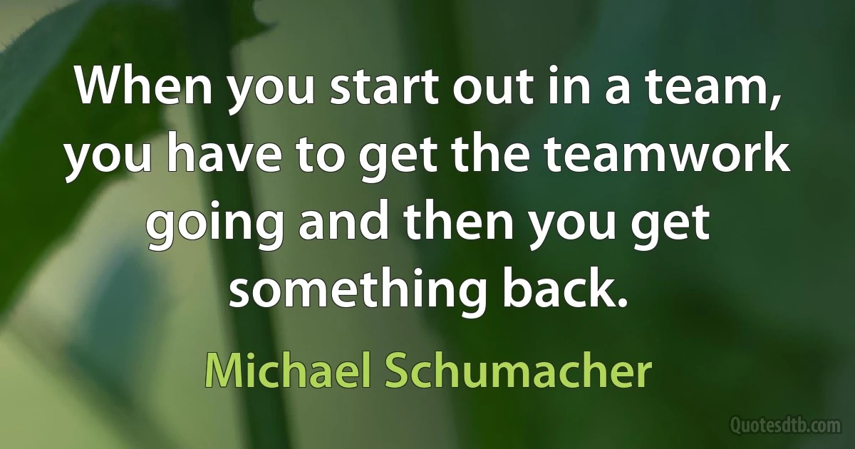 When you start out in a team, you have to get the teamwork going and then you get something back. (Michael Schumacher)