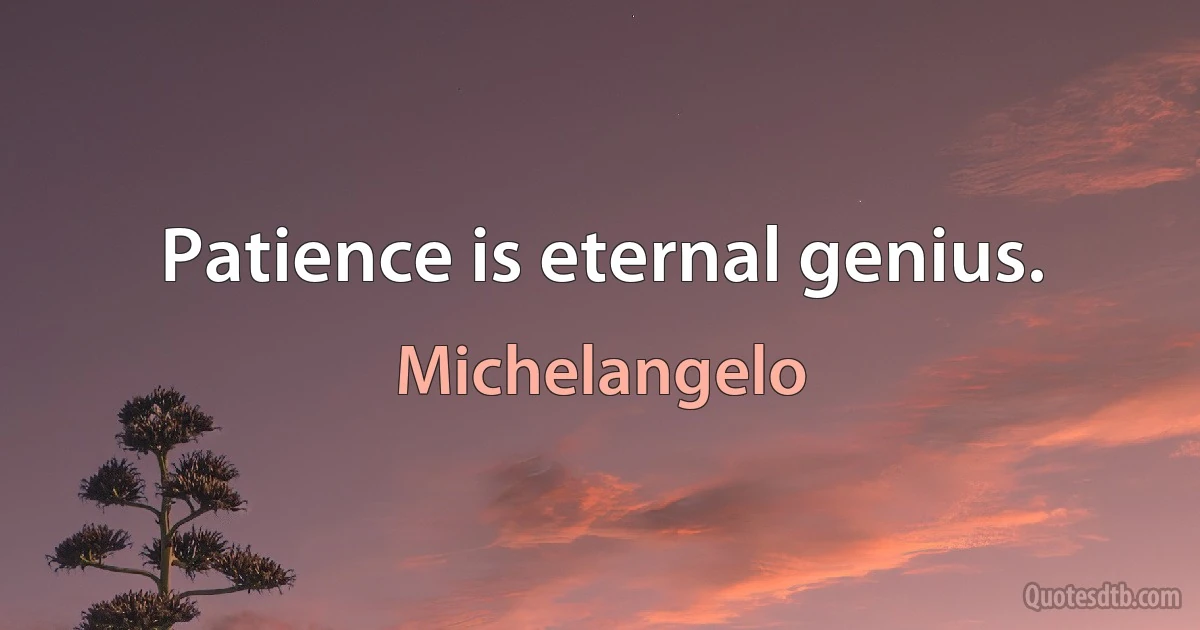 Patience is eternal genius. (Michelangelo)