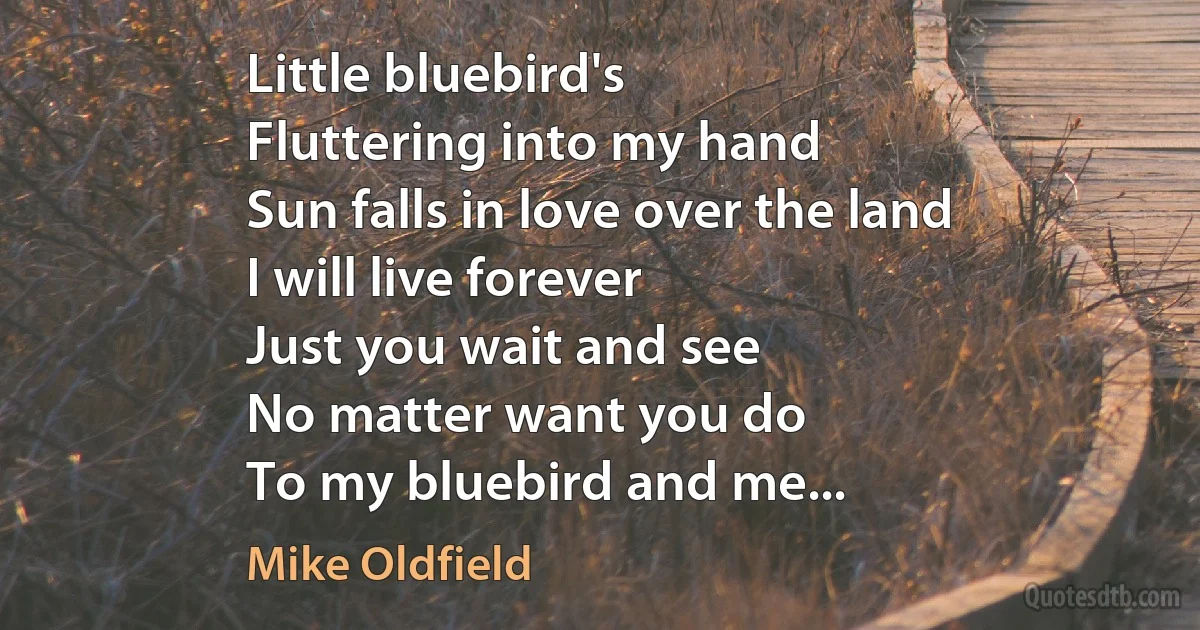 Little bluebird's
Fluttering into my hand
Sun falls in love over the land
I will live forever
Just you wait and see
No matter want you do
To my bluebird and me... (Mike Oldfield)