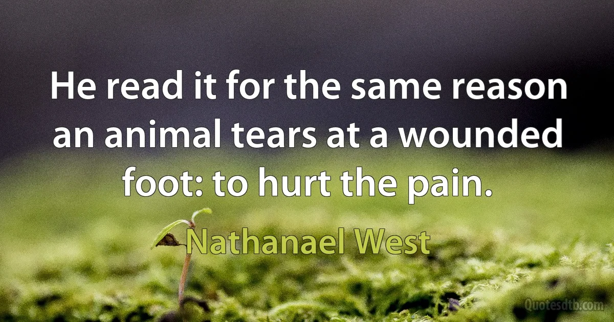 He read it for the same reason an animal tears at a wounded foot: to hurt the pain. (Nathanael West)