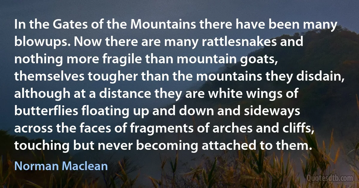 In the Gates of the Mountains there have been many blowups. Now there are many rattlesnakes and nothing more fragile than mountain goats, themselves tougher than the mountains they disdain, although at a distance they are white wings of butterflies floating up and down and sideways across the faces of fragments of arches and cliffs, touching but never becoming attached to them. (Norman Maclean)