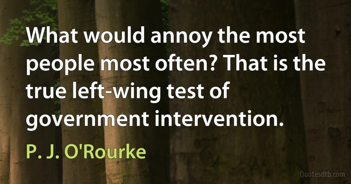 What would annoy the most people most often? That is the true left-wing test of government intervention. (P. J. O'Rourke)