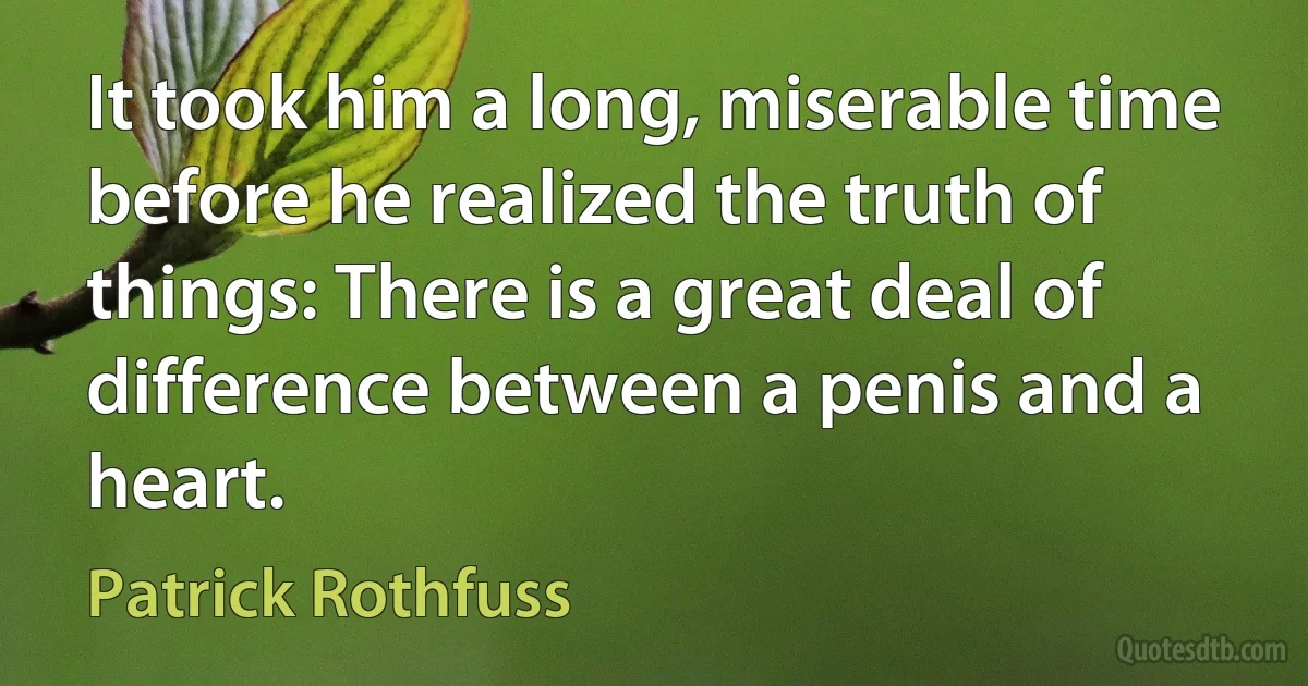 It took him a long, miserable time before he realized the truth of things: There is a great deal of difference between a penis and a heart. (Patrick Rothfuss)