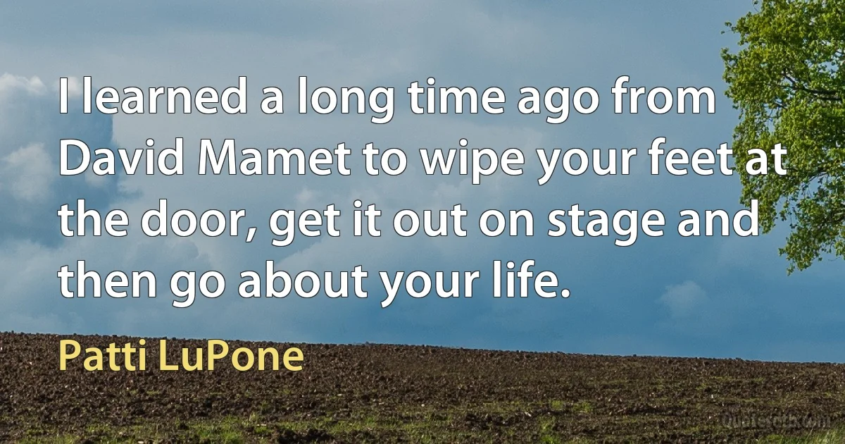 I learned a long time ago from David Mamet to wipe your feet at the door, get it out on stage and then go about your life. (Patti LuPone)