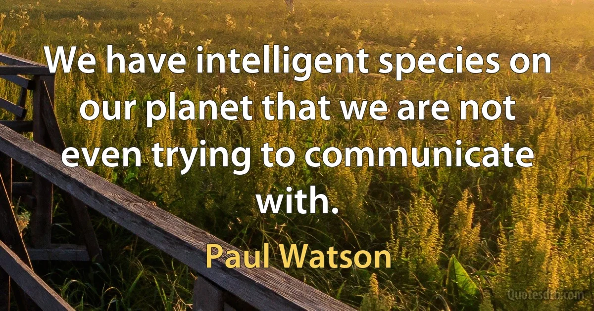 We have intelligent species on our planet that we are not even trying to communicate with. (Paul Watson)