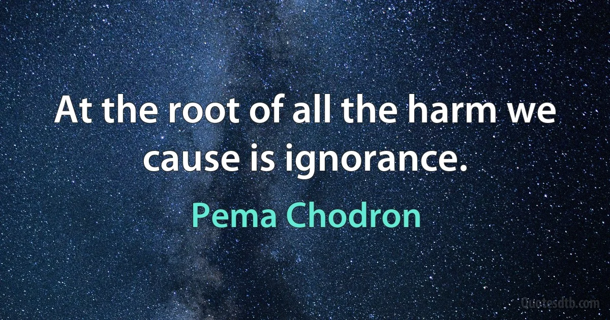 At the root of all the harm we cause is ignorance. (Pema Chodron)