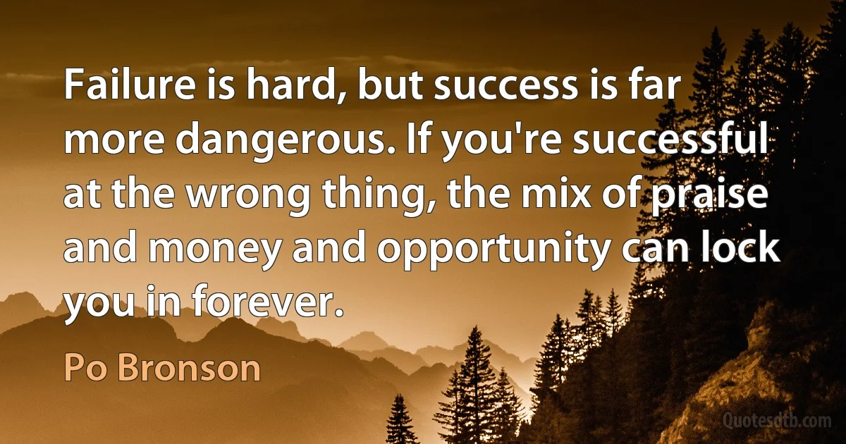 Failure is hard, but success is far more dangerous. If you're successful at the wrong thing, the mix of praise and money and opportunity can lock you in forever. (Po Bronson)