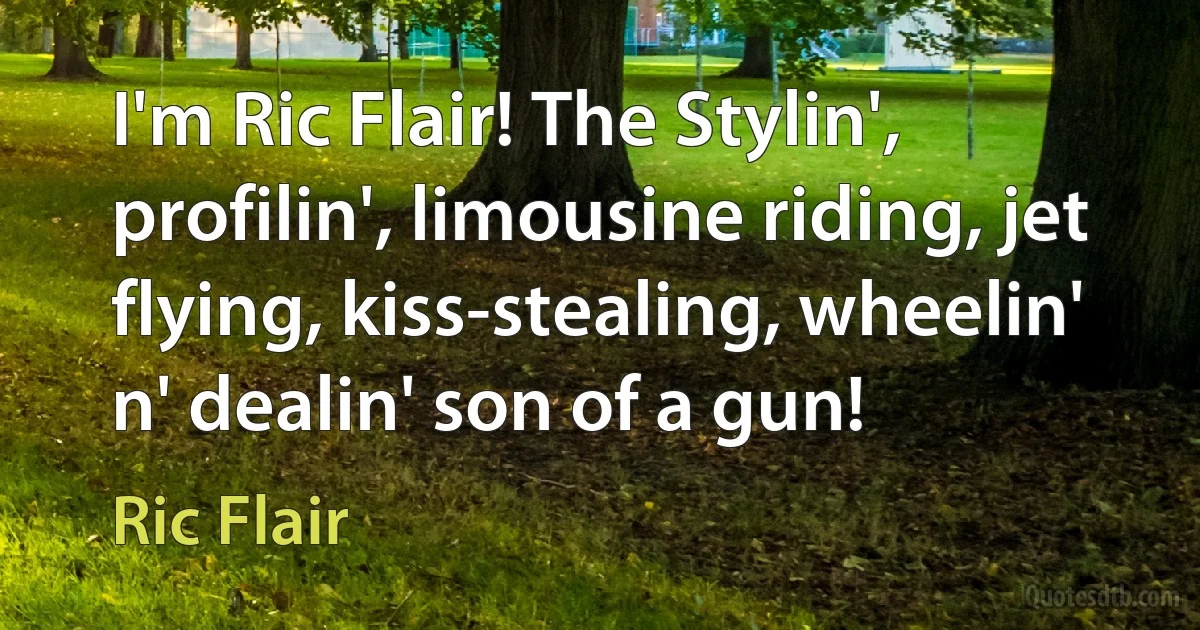 I'm Ric Flair! The Stylin', profilin', limousine riding, jet flying, kiss-stealing, wheelin' n' dealin' son of a gun! (Ric Flair)