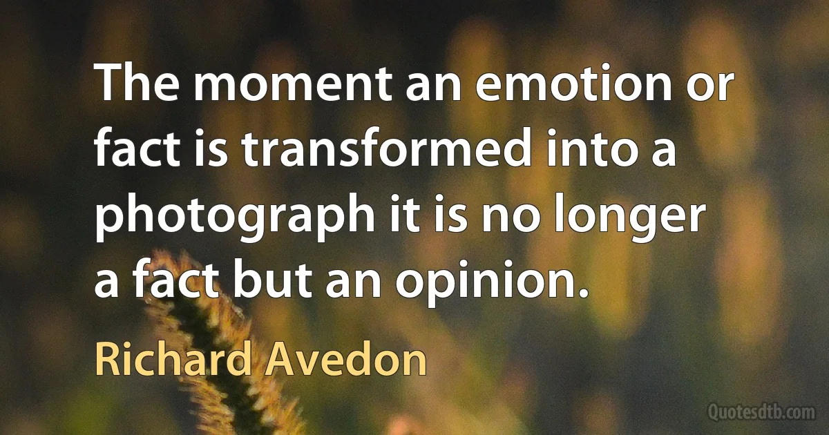 The moment an emotion or fact is transformed into a photograph it is no longer a fact but an opinion. (Richard Avedon)