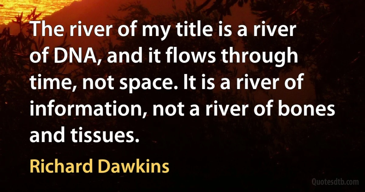 The river of my title is a river of DNA, and it flows through time, not space. It is a river of information, not a river of bones and tissues. (Richard Dawkins)