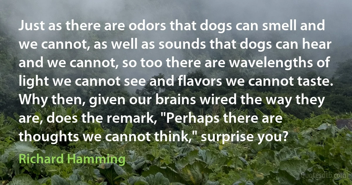 Just as there are odors that dogs can smell and we cannot, as well as sounds that dogs can hear and we cannot, so too there are wavelengths of light we cannot see and flavors we cannot taste. Why then, given our brains wired the way they are, does the remark, "Perhaps there are thoughts we cannot think," surprise you? (Richard Hamming)