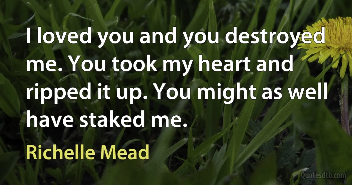 I loved you and you destroyed me. You took my heart and ripped it up. You might as well have staked me. (Richelle Mead)