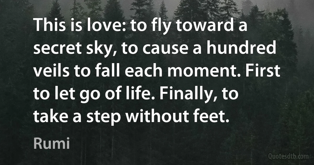 This is love: to fly toward a secret sky, to cause a hundred veils to fall each moment. First to let go of life. Finally, to take a step without feet. (Rumi)