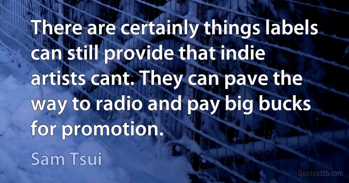 There are certainly things labels can still provide that indie artists cant. They can pave the way to radio and pay big bucks for promotion. (Sam Tsui)