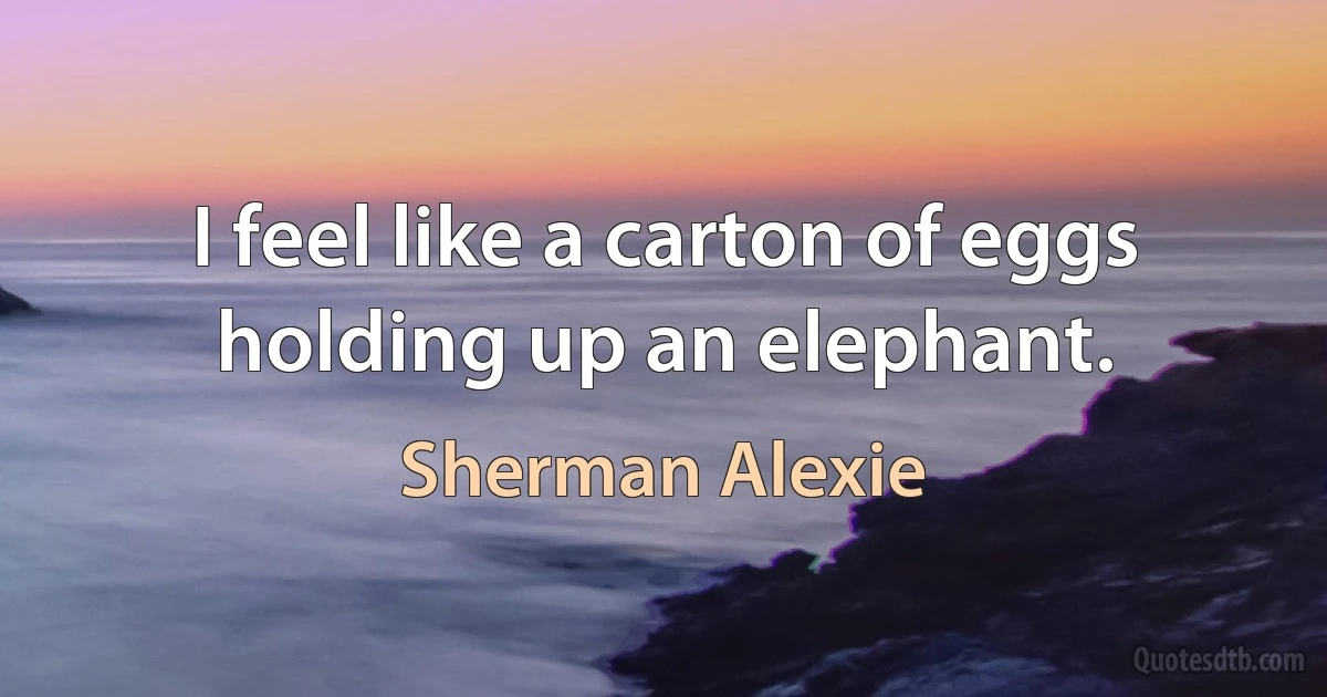 I feel like a carton of eggs holding up an elephant. (Sherman Alexie)