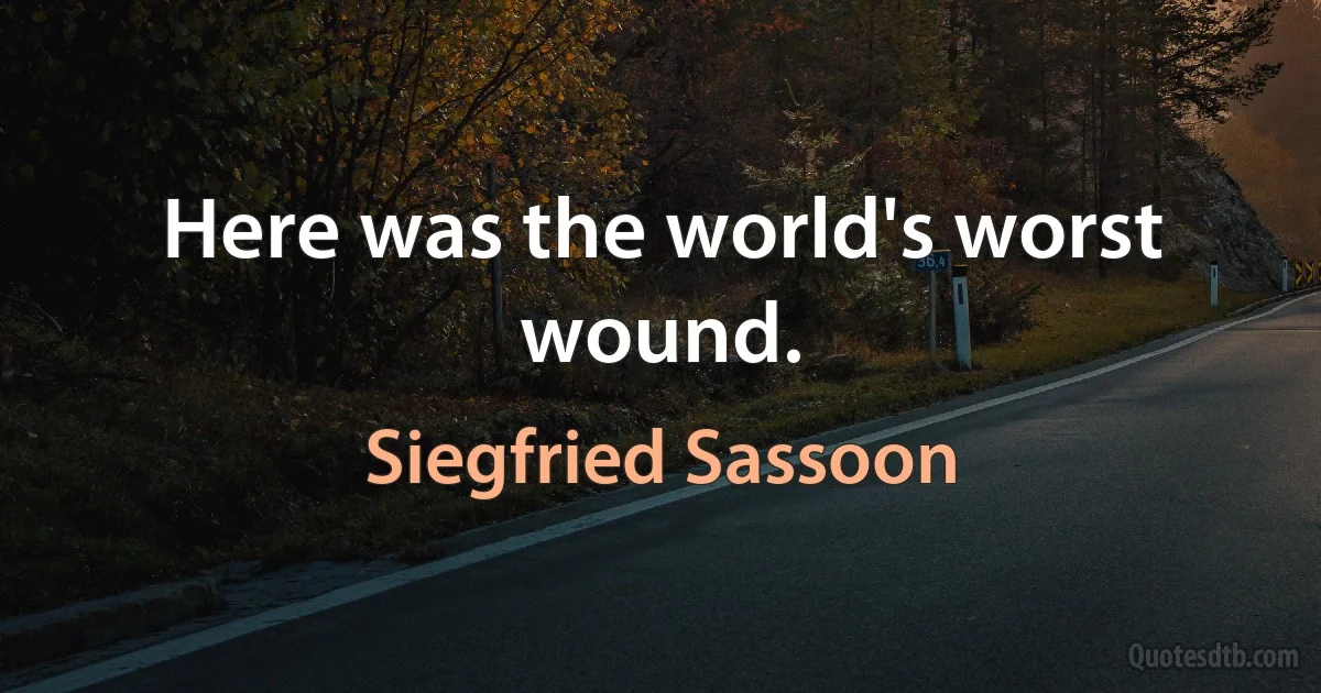 Here was the world's worst wound. (Siegfried Sassoon)