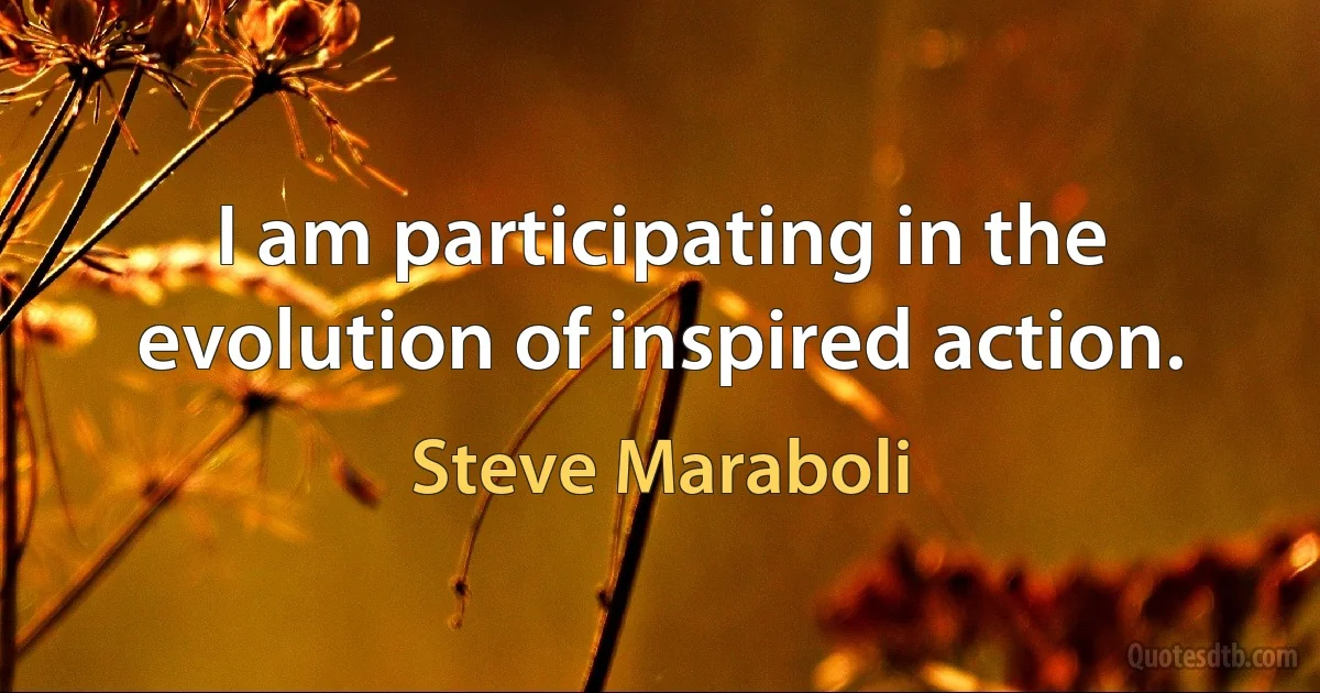 I am participating in the evolution of inspired action. (Steve Maraboli)