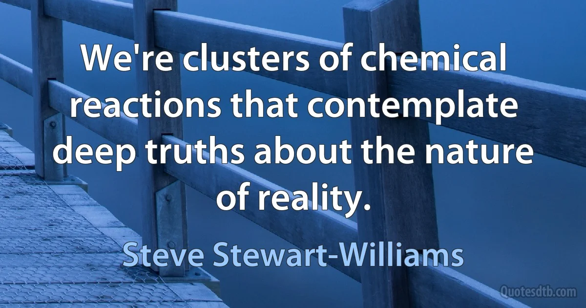 We're clusters of chemical reactions that contemplate deep truths about the nature of reality. (Steve Stewart-Williams)