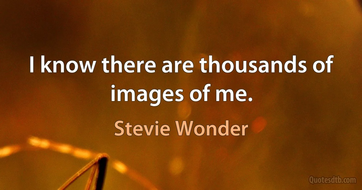 I know there are thousands of images of me. (Stevie Wonder)